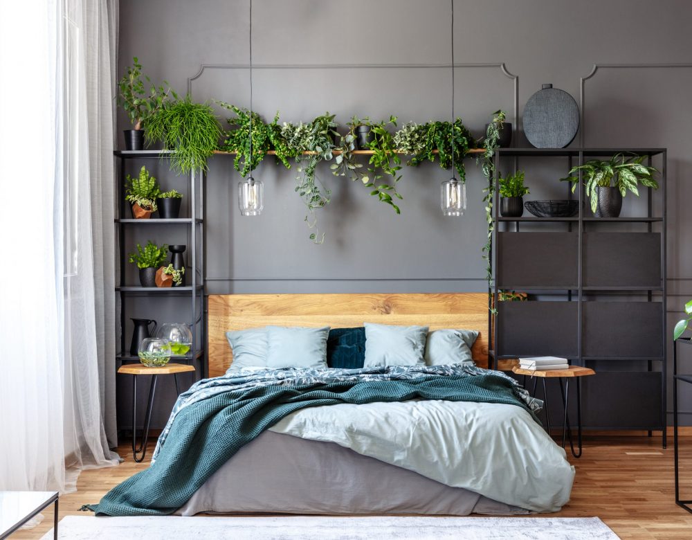 Lamps and plants above grey bed with green blanket and wooden headboard in bedroom interior. Real photo