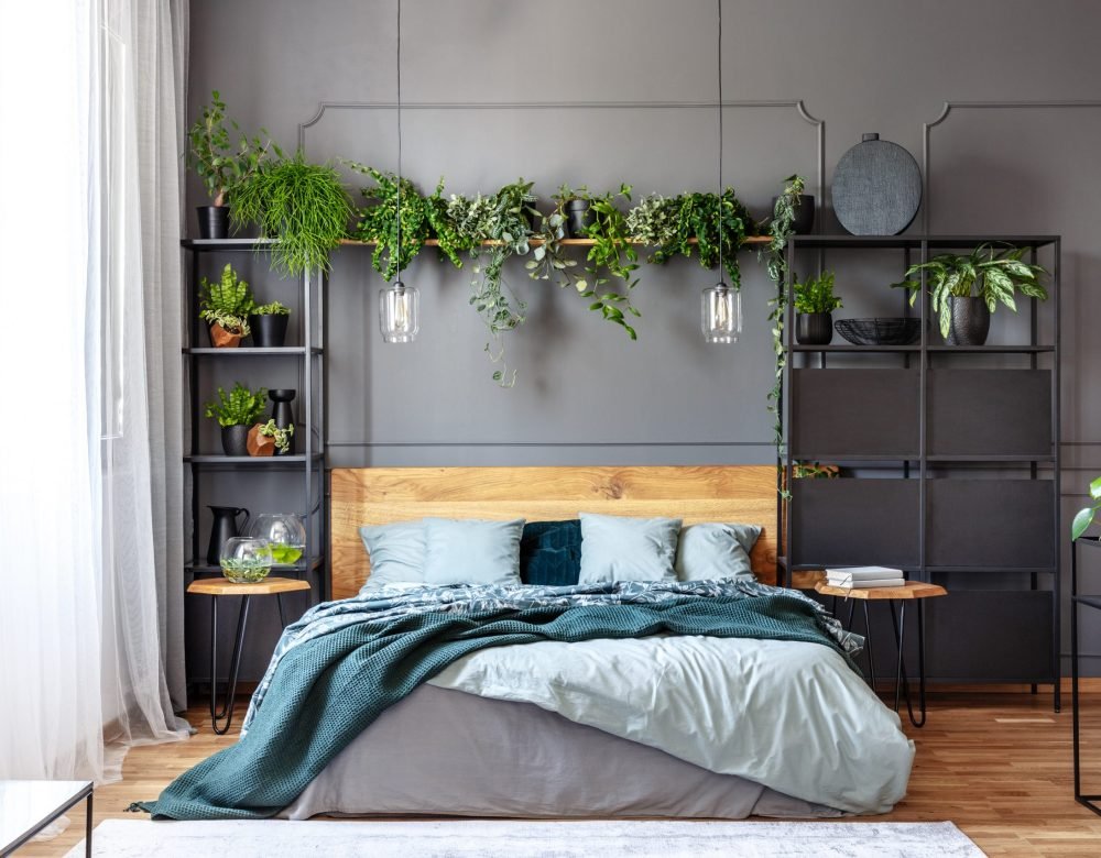 Lamps and plants above grey bed with green blanket and wooden he Lamps and plants above grey bed with green blanket and wooden headboard in bedroom interior. Real photo